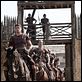 La Legión del Águila : photo Channing Tatum, Denis O'Hare, Kevin Macdonald