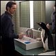Los pingüinos del Sr. Poper : photo Jim Carrey, Mark Waters