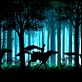 Les Contes de la nuit : photo Michel Ocelot
