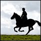 War Horse (Caballo de batalla) : photo Jeremy Irvine, Steven Spielberg