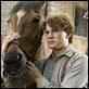 War Horse (Caballo de batalla) : photo Jeremy Irvine, Steven Spielberg