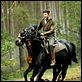 War Horse (Caballo de batalla) : photo David Kross, Steven Spielberg