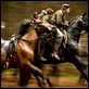 War Horse (Caballo de batalla) : photo Steven Spielberg