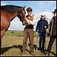 War Horse (Caballo de batalla) : photo Jeremy Irvine, Steven Spielberg