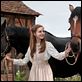 War Horse (Caballo de batalla) : photo Celine Buckens, Steven Spielberg
