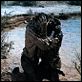 Camino de la venganza : photo Burt Lancaster, Ossie Davis, Sydney Pollack