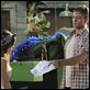 Doctora en Alabama : photo Rachel Bilson, Wilson Bethel