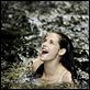 La saga Crepúsculo: Amanecer - Parte I : photo Bill Condon, Kristen Stewart