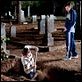 Beneath the Darkness : photo Dennis Quaid