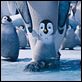 Happy Feet 2 (3D) : photo George Miller