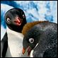 Happy Feet 2 (3D) : photo George Miller