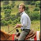Hawaii Five-0 (2010) : photo Scott Caan