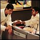 photo Jamel Debbouze, Philippe Spiteri