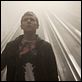 The Fades