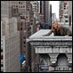 Al borde del abismo : photo Elizabeth Banks, Jamie Bell