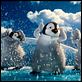 Happy Feet 2 (3D) : photo George Miller