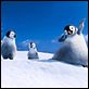 Happy Feet 2 (3D) : photo George Miller