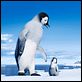 Happy Feet 2 (3D) : photo George Miller