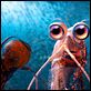 Happy Feet 2 (3D) : photo George Miller