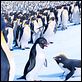 Happy Feet 2 (3D) : photo George Miller