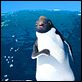 Happy Feet 2 (3D) : photo George Miller