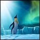 Happy Feet 2 (3D) : photo George Miller