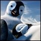 Happy Feet 2 (3D) : photo George Miller