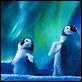 Happy Feet 2 (3D) : photo George Miller