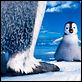 Happy Feet 2 (3D) : photo George Miller
