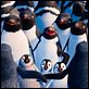Happy Feet 2 (3D) : photo George Miller