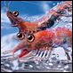 Happy Feet 2 (3D) : photo George Miller