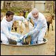 photo Alexandre Thibault, Bernard Le Coq