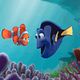 Buscando a Nemo