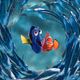 Buscando a Nemo