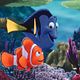 Buscando a Nemo