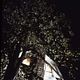 The Amityville Horror : photo Stuart Rosenberg