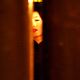 <b>Gong Li</b> Foto  : 2046