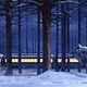Polar Express : photo Robert Zemeckis