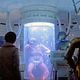 Photo - FILM - Star Wars : Episode V - L'Empire contre-attaque : 25802
