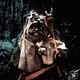Star Wars : Episode VI - El retorno del Jedi : photo George Lucas, Richard Marquand, Warwick Davis
