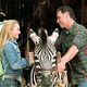 Héroe a rayas : photo Bruce Greenwood, Frederik Du Chau, Hayden Panettiere