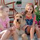 <b>Annasophia Robb, Elle Fanning, Wayne Wang</b> Foto Christophe L  : Mi mejor amigo