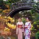 Photo Christophe L - FILM - Mémoires d'une geisha : 28572