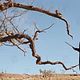 Photo Christophe L - FILM - Tideland : 57123