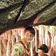 Extras : photo Daniel Radcliffe, Warwick Davis