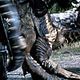 Dragonheart (Corazón de Dragón) : photo Dennis Quaid, Rob Cohen