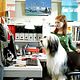 <b>Brian Robbins, Kristin Davis, Spencer Breslin, Zena Grey</b> Foto  : Cariño, estoy hecho un perro