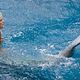 Photo Christophe L - FILM - Aquamarine : 108733