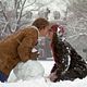 Love Story : photo Ali McGraw, Arthur Hiller, Ryan O'Neal