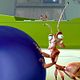Ant Bully, bienvenido al hormiguero : photo John A. Davis